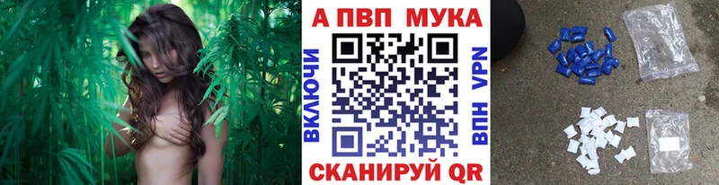 A-PVP СК КРИС Муравленко