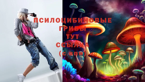jwh Беломорск