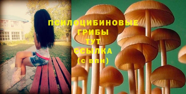 jwh Беломорск