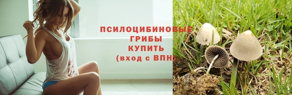 jwh Беломорск